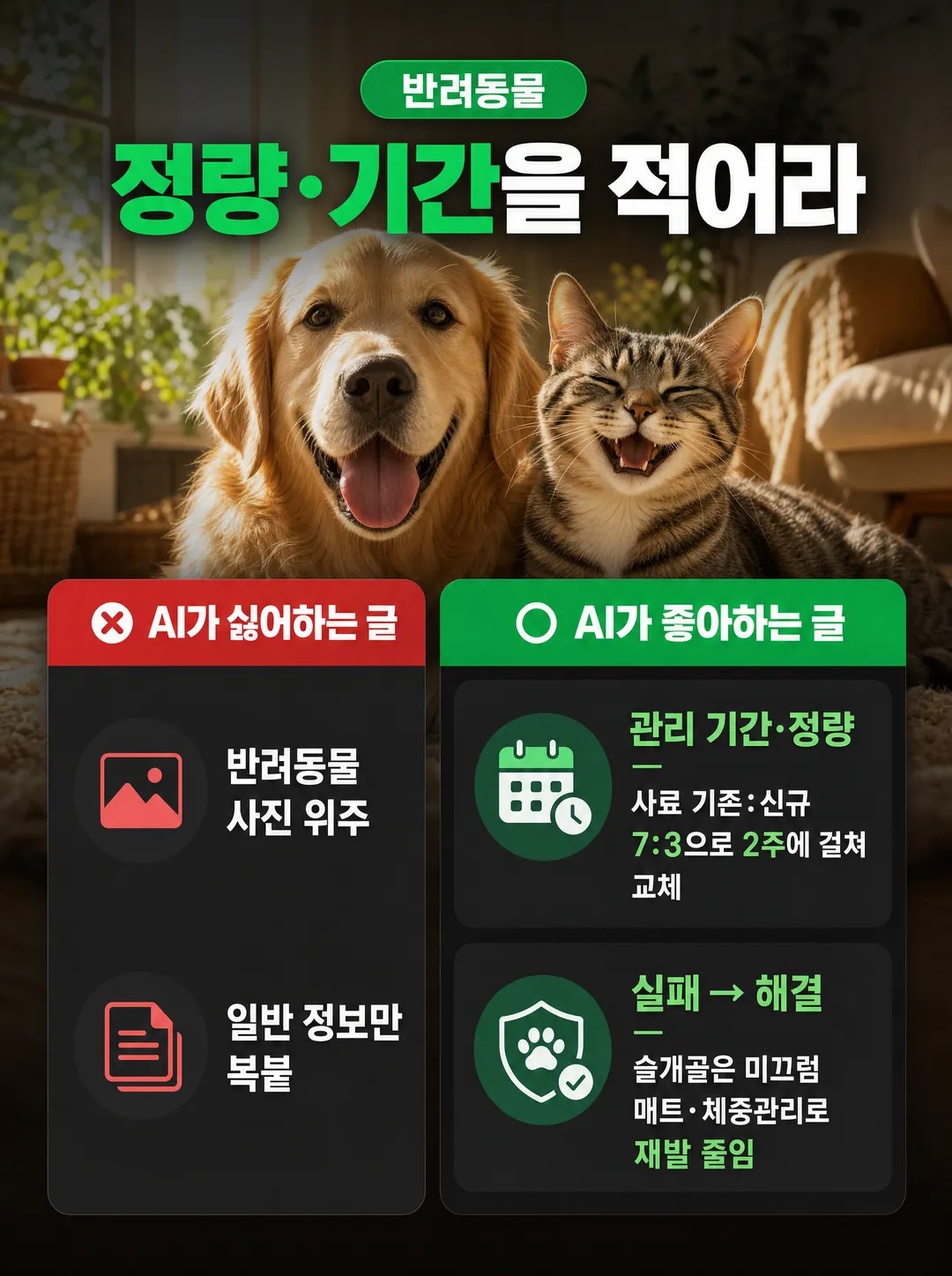 반려동물